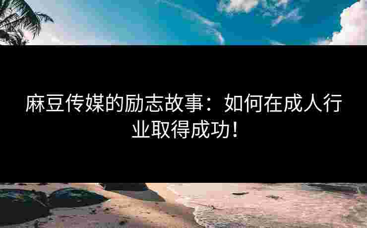 麻豆传媒的励志故事:如何在成人行业取得成功!