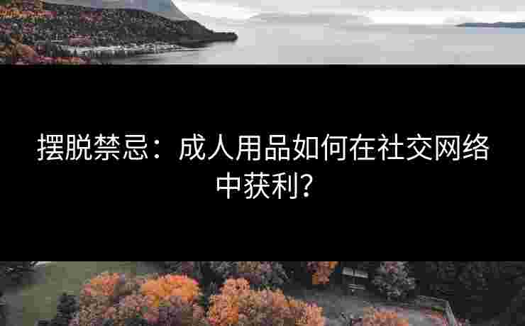 摆脱禁忌：成人用品如何在社交网络中获利？
