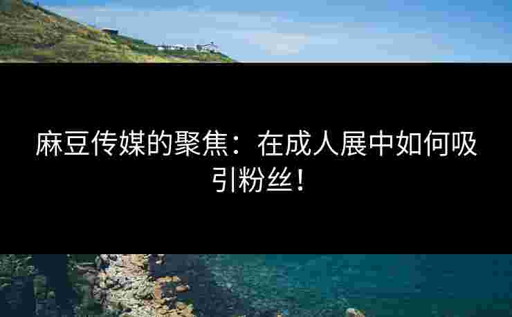 麻豆传媒的聚焦：在成人展中如何吸引粉丝！