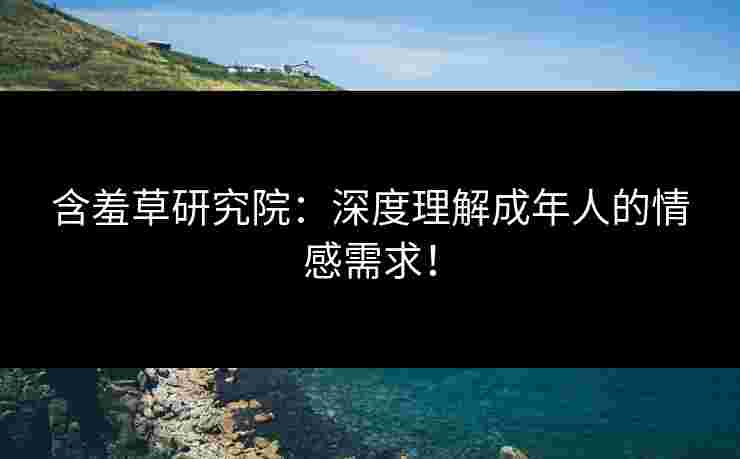 含羞草研究院：深度理解成年人的情感需求！